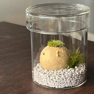  RPeE XX̂ XRg KXLjX^[Zbg@IׂJ[@mosmos vq | ϗtA RPeE CeA RP͔| Mtga ƂSP ۂƂ