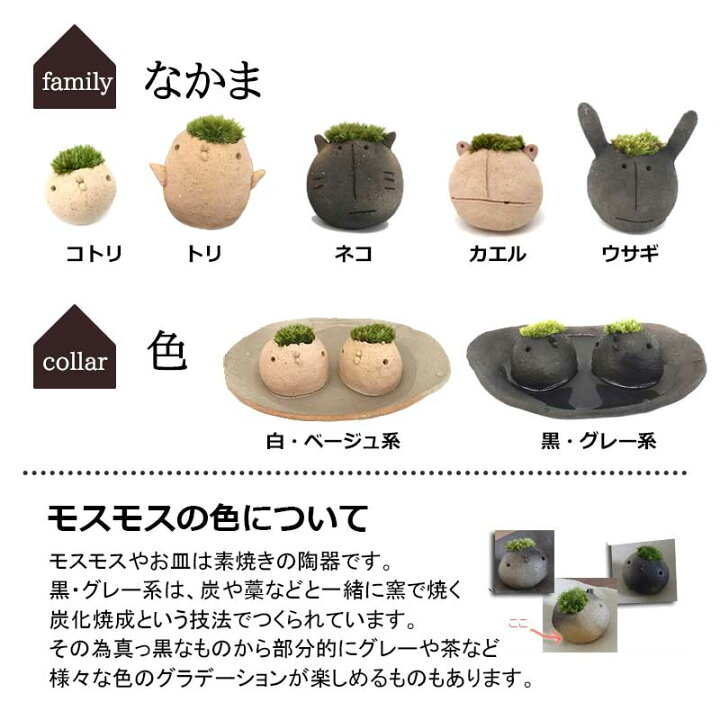 楽天市場】苔 インテリア コケがかわいい 真山茜さんのモスモス モスコトリ2羽 受け皿セット mosmos 益子 陶芸家 観葉植物 コケテラリウム インテリア コケ栽培 ギフト誕生日 とりゴケ 苔とり 色が選べる とりゴケ 苔とり 苔 こけ コケ : みどり屋 和草 楽天市場店 楽天市場】苔 インテリア コケがかわいい 真山茜さんのモスモス モスコトリ2羽 受け皿セット mosmos 益子 陶芸家 観葉植物 コケテラリウム インテリア コケ栽培 ギフト誕生日 とりゴケ 苔とり 色が選べる とりゴケ 苔とり 苔 こけ コケ : みどり屋 和草 楽天市場店