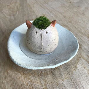  RP킢 ^R̃XX XlRE󂯎MZbg mosmos vq | ϗtA RPeE CeA RP͔| Mtga lRSP ۃlR