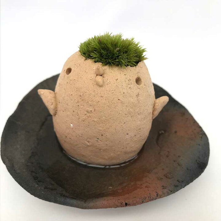 楽天市場 苔 インテリア コケがかわいい 真山茜さんのモスモス モスドリ1羽 受け皿セット Mosmos 益子 陶芸家 観葉植物 コケテラリウム インテリア コケ栽培 ギフト誕生日 父の日 みどり屋 和草 楽天市場店 楽天市場 苔 インテリア コケがかわいい 真山茜さんのモスモス モスドリ1羽 受け皿セット Mosmos 益子 陶芸家 観葉植物 コケテラリウム インテリア コケ栽培 ギフト誕生日 父の日 みどり屋 和草 楽天市場店