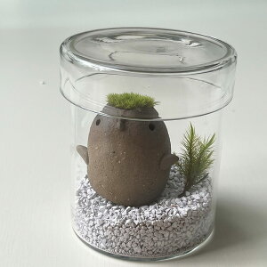  RPeE XX̂ Xh KXLjX^[Zbg@IׂJ[@mosmos vq | ϗtA RPeE CeA RP͔| Mtga ƂSP ۂƂ 