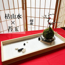枯山水 苔玉セット 枯山水 玉砂利 中サイズ + 紅長寿梅 苔玉 器 敷石 セット 贈り物 ギフト チョウジュバイ ちょうじゅばい