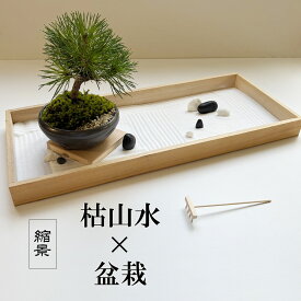 枯山水 盆栽セット 枯山水 玉砂利 中サイズ + 黒松盆栽 セット 贈り物 ギフト くろまつ クロマツ