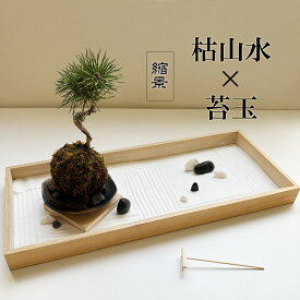 枯山水 苔玉セット 枯山水 玉砂利 中サイズ + 黒松 苔玉 器 敷石 セット 贈り物 ギフト くろまつ クロマツ
