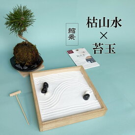 枯山水 苔玉セット 枯山水 玉砂利 小サイズ + 黒松 苔玉 器 敷石 セット 贈り物 ギフト くろまつ クロマツ