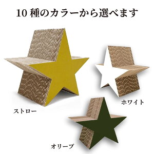 y^ ܂ƂzIׂJ[ 10F _{[ LJtF ybgVbv L ܌ lR Lpi _{[ ߂Ƃ { Y   ybgpi JtF