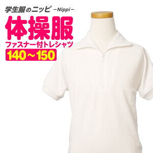 FRED ̑  t@Xi[tgVc 140 150 