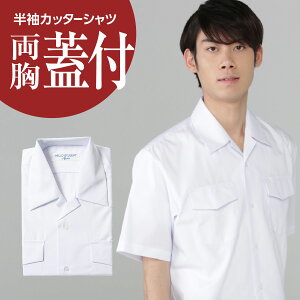 ワイシャツ 形態安定 男子学生服 通販 人気ランキング 価格 Com