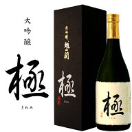 日本酒 大吟醸【極】720ml 塩川酒造 日本酒 辛口 ギフト 男性 女性 旦那 義父 上司 新潟地酒 誕生日 内祝…