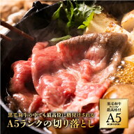 肉 A5 黒毛和牛 切り落とし 400g 冷凍 食品 牛肉 焼肉 すき焼き 贈り物 お取り寄せ グルメ お歳暮 御歳暮