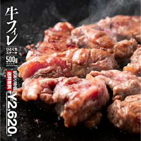 焼肉 訳あり 牛ヒレ肉 ひとくちステーキ 500g 冷凍 食品 肉 牛肉 フィレ わけあり やわらか 焼き肉 家飲み