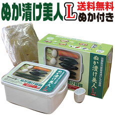 野田琺瑯製ぬか漬け美人セット送料無料国内産仕上がりぬか床2kg付きぬか床セット楽天ランキング1位獲得