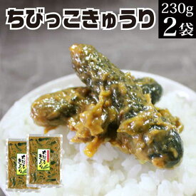 漬物 ちびっこ胡瓜 230g×2袋 【メール便 送料無料 グルメ食品 産直 ご飯のお供 ポイント消化 送料無 買い回り 買いまわり 対象 家飲み 宅飲み おつまみ おかず お惣菜 副菜 食品 食べ物 常温保存 食料 備蓄 お取り寄せグルメ お漬物 漬け物 おつけもの 】KM AR 福島