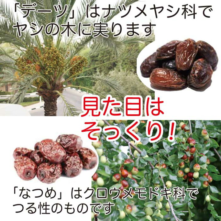 楽天市場 1000円ポッキリ 送料無料 あす楽 デーツ 無添加 135g 2袋 ドライフルーツ ドライデーツ 砂糖不使用 無添加 ナツメヤシ メール便 グルメ食品 お取り寄せ ポイント消化 送料無 買い回り 対象 漬物 佃煮 ご飯のお供 西野屋