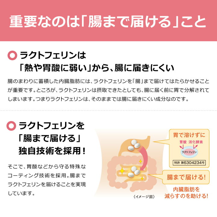 楽天市場】【楽天食いしんぼう祭 1000円OFFクーポン】【 送料無料  