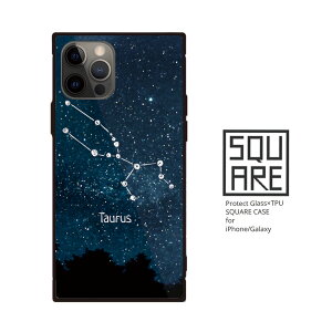 iPhone16 16e iPhone16 Pro max 16Plus w KX P[X iPhone15 Pro iPhone14 13 SE3 3 iPhone 12pro KX X}z P[X  肢 12 F   