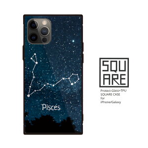 iPhone16 16e iPhone16 Pro max 16Plus w KX P[X iPhone15 Pro iPhone14 13 SE3 3 iPhone 12pro KX X}z P[X  肢 12 F   