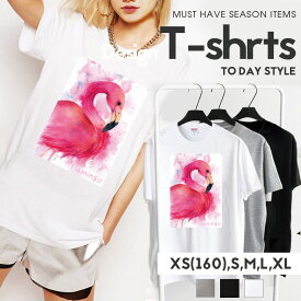 Tシャツ レディース メンズ クルーネック 丸首 綿 半袖 カットソー アニマル 動物 フラミンゴ flamingo ピンク 水彩 大人かわいい ペア カップル おそろ リンクコーデ