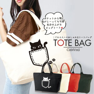 }U[YobO g[gobO e y g[g LoX t@Xi[t 傫 A4 fB[X Rrj GRobO obO VGbg pocketcat |Pbgɂ L cat L 