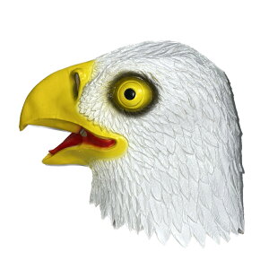  h C[O }XN  ebNXS nEB RXv Aj}}XN  蕨 YN p[eB[ObY p[eB SNS zM