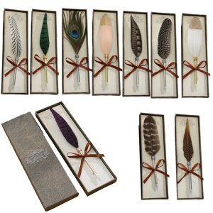 H {[y Hy ca 0.7mm v[g 蕨 H CeA Mtg   ML MLp