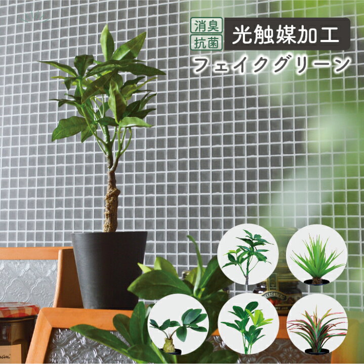 楽天市場】＼ギフト対応／ 抗菌 消臭 インテリアグリーン / ［ブラック 