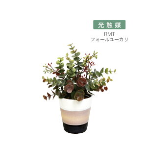 R L tFCNO[ /xW~obN tH[[J p[VG} ϗtA tFCNO[ CeAO[  A ϗtA m RMT |bgn