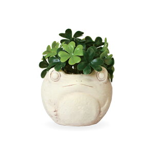 _̓MtgɁ^R L CeAO[ JG N[o[ [J fCW[ G} J^  tFCNO[ [JG|bg]  ϗtA lt sv ̓ hV