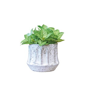 _MtgΉ^ R L tFCNO[@/ mGyn G} AG VSjE ϗtA tFCNO[ CeAO[  A 