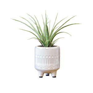 R L tFCNO[@/ msGn R`h GAvc t@VFCv G} ϗtA tFCNO[ CeAO[  A   G