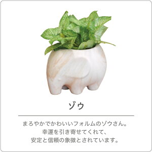 蕨ɁI R L tFCNO[ 킢 |bg /m}[un嗝Ε G} ϗtA tFCNO[ CeAO[  J^ N A ]E u^  nEX  