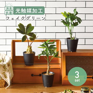 y3_ZbgzR L CeAO[  G} tFCNO[  A ϗtA mg[mubN|bg pL Vt R[fbNXZbgn