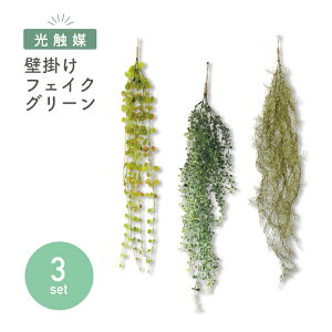 y3_ZbgzR LmO[ubVZbgnG} ~jVF[t XpjbVX eB[[t Ǌ| tFCNO[ CeAO[ ϗtA A 