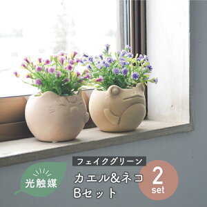 _MtgΉ^y2ZbgzR L CeAO[ JG lR fCW[ J^  G} tFCNO[ CeAO[  [JG|bglR|bg fCW[Zbg]