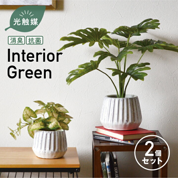 光触媒 人工観葉植物 ウォールグリーン フェイクグリーン ベンジャミン 