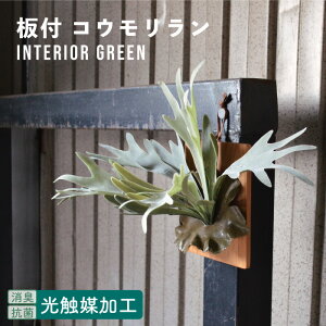 R L Ǌ| t RE rJNV_ ԁ@/ mEH[{[h RE n G} tFCNO[ A Ǌ| A [X ϗtA nMO ǖ  