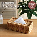 ラタン風 ティッシュケース / 落とし蓋 アジアン ナチュラル 洗える 樹脂素材 ［ルル ティッシュケース］ 水濡れOK ウォッシャブル ボックスティッシュケース ティッシュカバー ソフトパックティッシュケース おしゃれ 雑貨 ナチュラル かご 編み