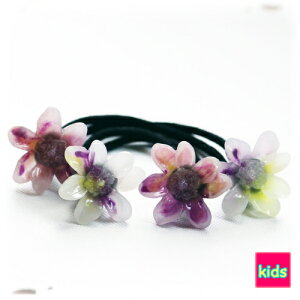 ƌÕȗp[c LbY wAS wAANZ(2{)