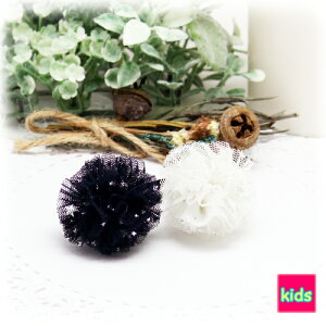 oCJ[LLX^[`[tH[}J[{{ LbY wAS wAANZi1{jw킢kidsv[gq̎qwAANZ