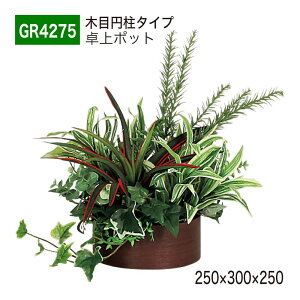 yK㗝XzBELK GreenMode xN O[[h GR4275 |bg ̃|bg 250×300×250 p[e[V p[eBV ~^Cv ^ Y I ؖ {[   tFCN