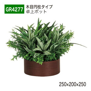 yK㗝XzBELK GreenMode xN O[[h GR4277 |bg ̃|bg 250×200×250 p[e[V p[eBV ~^Cv ^ Y I ؖ {[   tFCN