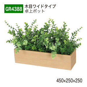 yK㗝XzBELK GreenMode xN O[[h GR4388 |bg ؖڃ|bg 450×250×250 p[e[V p[eBV |Cg ANZg Vo P A   tFCN