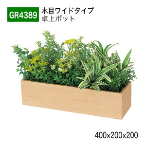 yK㗝XzBELK GreenMode xN O[[h GR4389 |bg ؖڃ|bg 400×200×200 p[e[V p[eBV |Cg ANZg Vo P A   tFCN