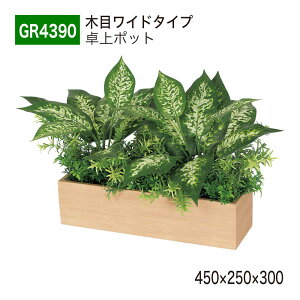 yK㗝XzBELK GreenMode xN O[[h GR4390 |bg ؖڃ|bg 450×250×300 p[e[V p[eBV |Cg ANZg Vo P A   tFCN