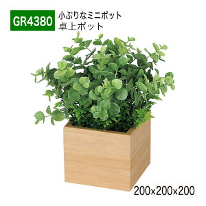 yK㗝XzBELK GreenMode xN O[[h GR4380 |bg ؖڃ|bg 200×200×200 p[e[V p[eBV ~j^Cv |Cg ANZg AW   tF