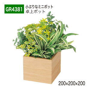 yK㗝XzBELK GreenMode xN O[[h GR4381 |bg ؖڃ|bg 200×200×200 p[e[V p[eBV ~j^Cv |Cg ANZg AW   tF