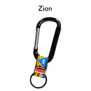 yyjzz `X CHUMS {gz_[ Nbv{gz_[ CH61-1175 JriL[`F[ G ANZT[ Carabiner Keychain G ANZT[ AEghA oR ނ 