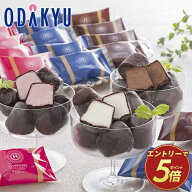 夏 ギフト 送料無料 ［ 銀座京橋 レ ロジェ エギュスキロール ］ ショコラアイスボール AH-RSB ｜指定日…