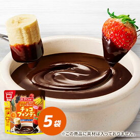 バナナ・いちご・キウイがおいしい！チョコフォンデュソース 150g×5袋 チョコソース チョコレート 調味料 ダイショー