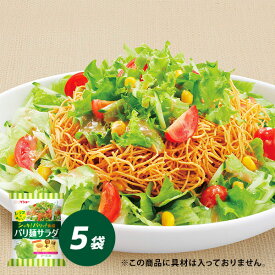 レタスがおいしいパリ麺サラダ 5袋 セット レタス 野菜 サラダ ドレッシング ダイショー